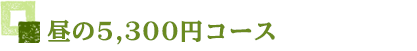 4500円コース